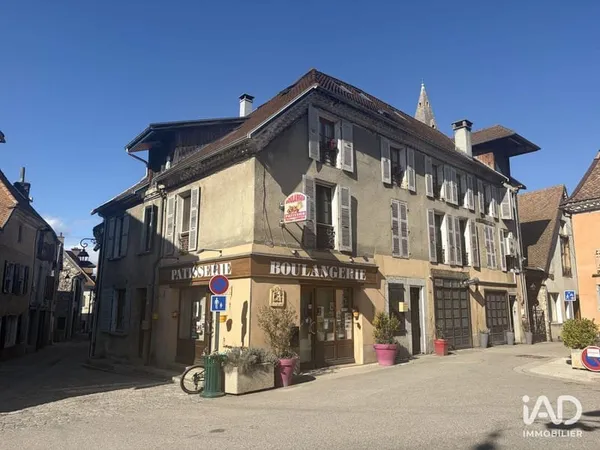 Immeuble commercial 6 pièces 350 m²