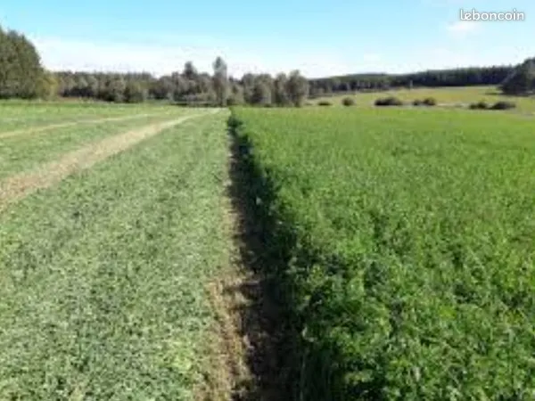 Prête 10ha Terre Agricole Graulhet éleveur Animaux Bovin Caprin Ovin Luzerne Sainfoin Trèfle Céréale