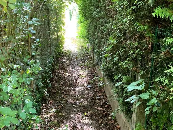 Terrain de loisir