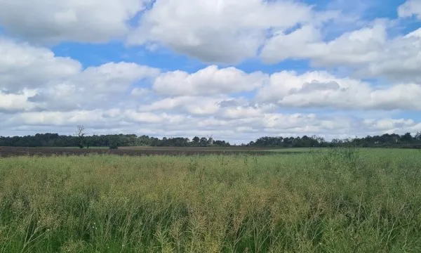 Terrain 2047 m²