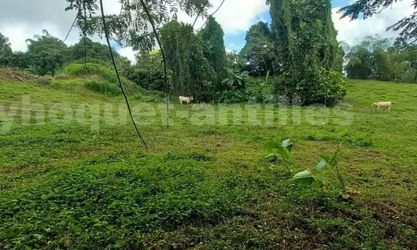 Terrain à bâtir de 805 m² sur Sainte-Marie