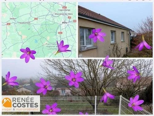 Vente en nue propriété - F74-H82 ans - HAUDIOMONT (55160)