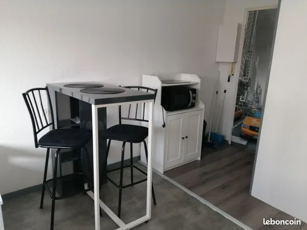 Appartement Meublé 19 m2 - 1 pièce
