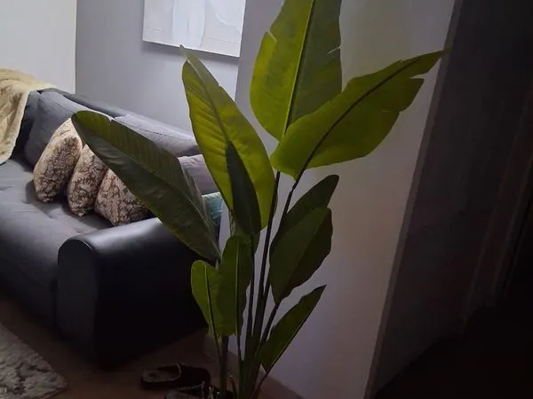 Loue chambre meublé