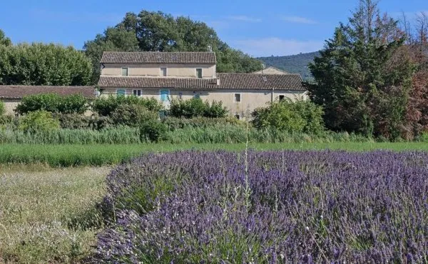 Villa 23 pièces 700 m²