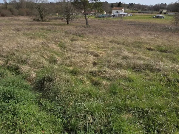 Terrain en campagne