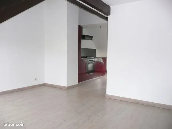 F3 de 70 m2 rénové cuisine équipée Epinal centre