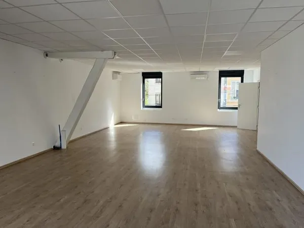 Immobilier Professionnel à louer Villeurbanne