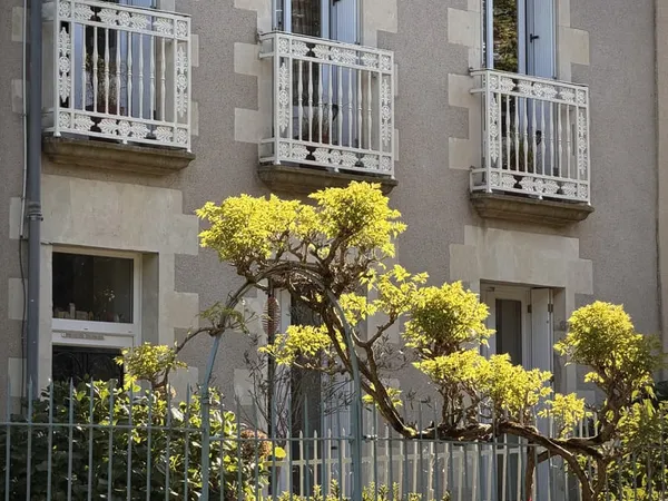 MAISON DE CARACTÈRE FACE LOIRE : ÉLÉGANCE, LUMIÈRE ET DOUCE
