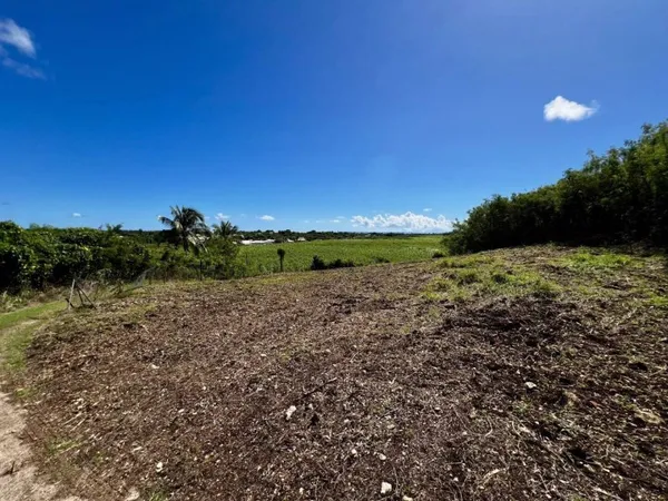 Terrain constructible 1433 m²