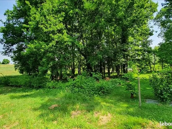 Terrain 1 811 m² Jonzac