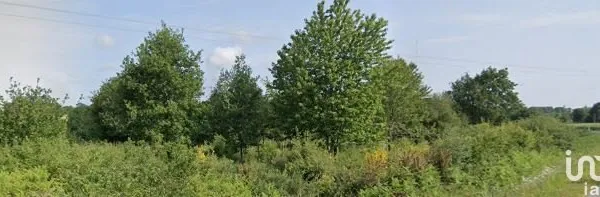 Terrain 2504 m²