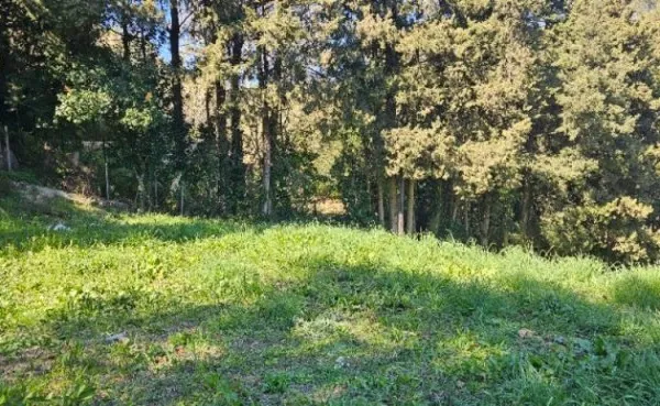 Terrain 1135 m²