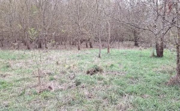 Terrain 19000 m²