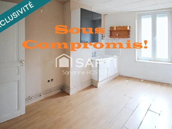 Appartement de 87m2 avec cave et grenier