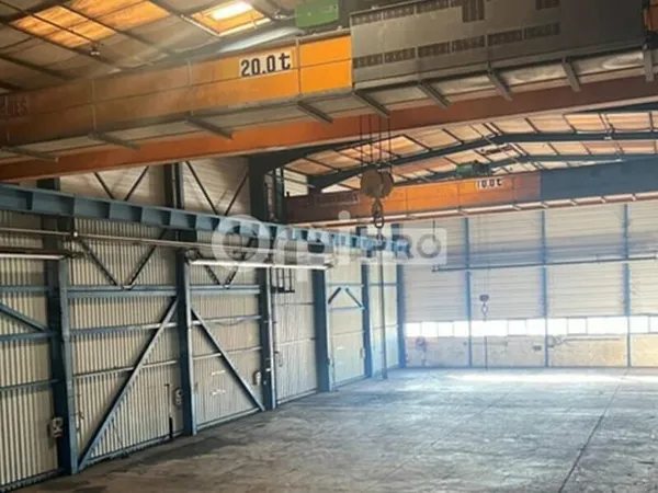 Local d'activité 1570 m²