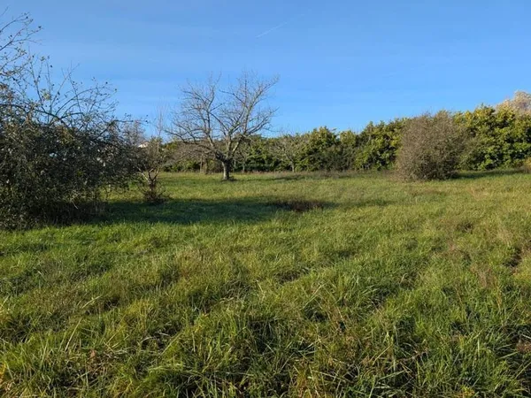 Terrain constructible