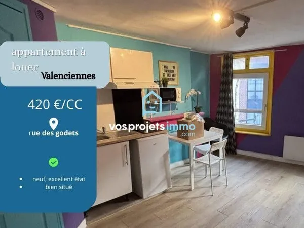Studio 1 pièce 20 m²