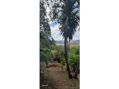 Beau terrain d 3094 m2 77€ le m2 COS 0.30