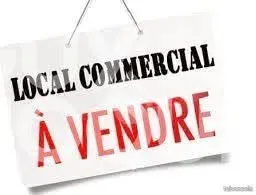 Immobilier Professionnel à acheter en viager Vernet les bains