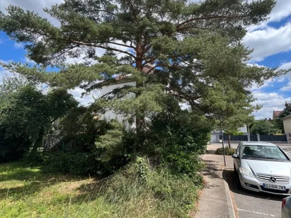 Terrain 216 m²