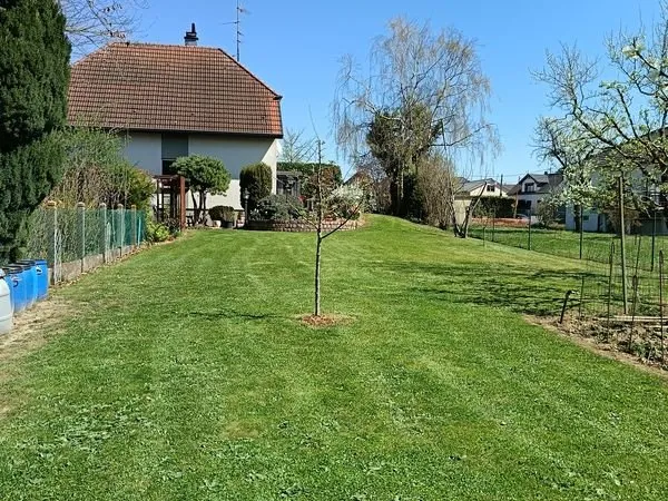 Maison et grand terrain