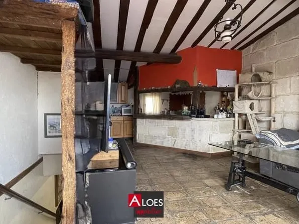 Maison Aigues-Mortes intra-muros avec appartement duplex et commerce