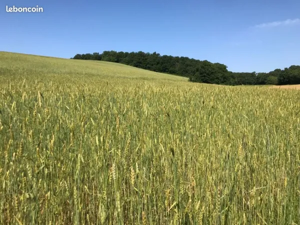 Vend 12,28ha de terre agricole