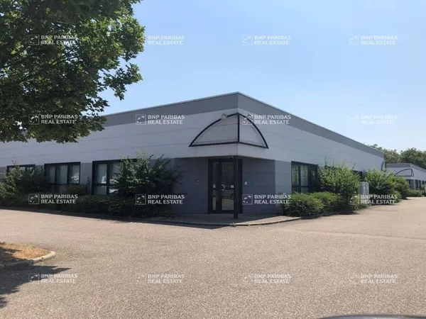 Local d'activité 294 m²