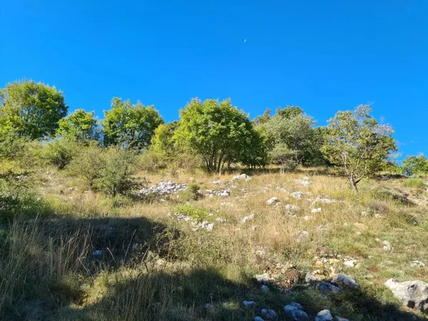 Terrain constructible 2000m² env. à Caussols