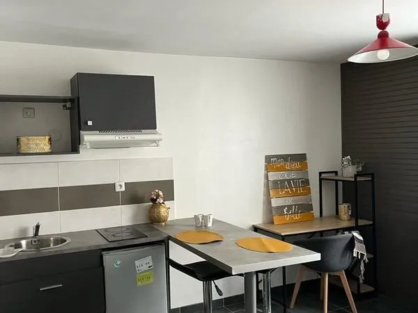 Grand Studio hypercentre ville meuble