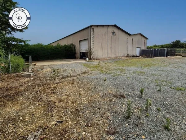 Local d'activité 500 m²