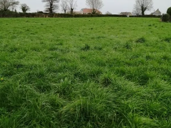 Terrain constructible