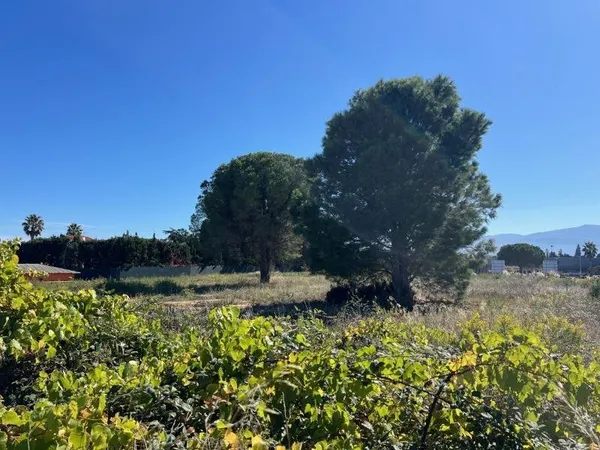 Terrain à bâtir Vente Latour-Bas-Elne  254m² 105900€