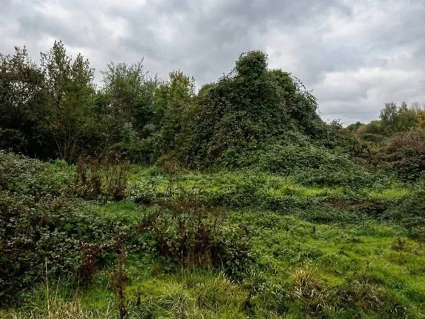 Terrain 119000 m²