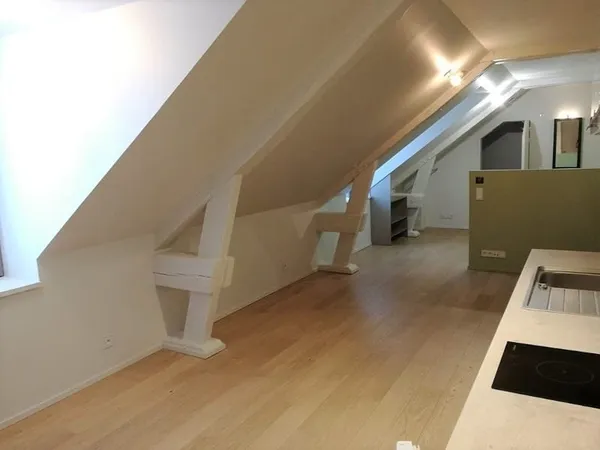 A LOUER - NANTES JARDIN DES PLANTES - Appartement 1 pièce de 25.18 m² (36.99 m² au sol)
