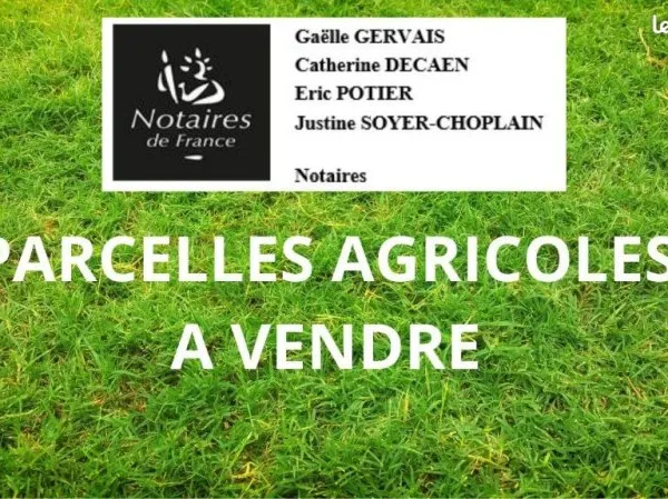 Terrain 547216 m² SOLIGNY LA TRAPPE