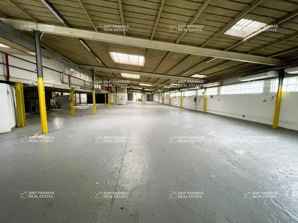 Local d'activité 9 pièces 1196 m²
