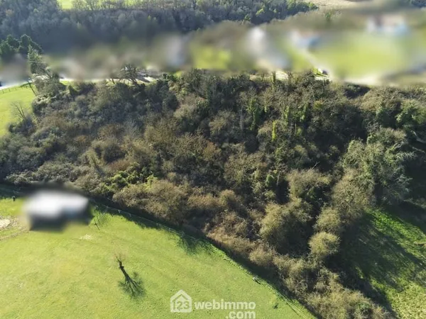 Terrain constructible - 7439m² - Montamisé