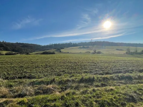 Terrain 532 m²