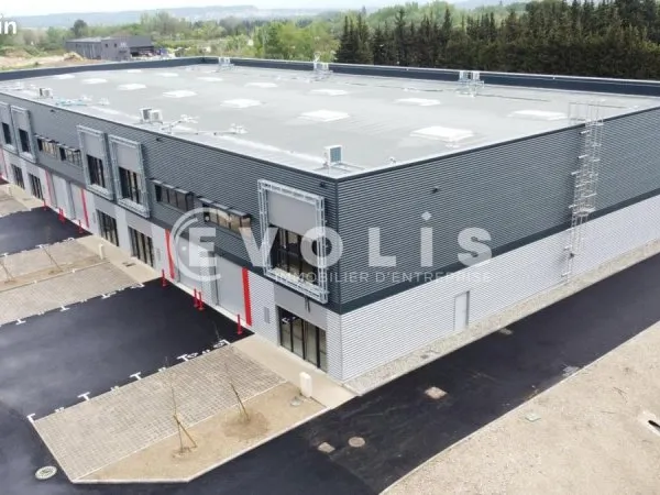 Local d'activité 1 236 m²