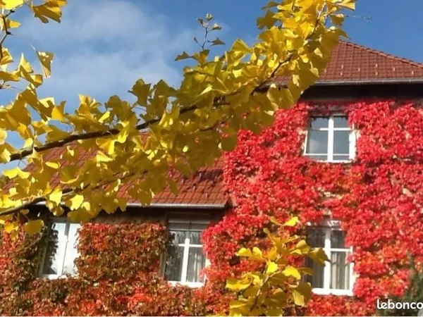 Magnifique maison de maître avec son parc exceptionnel