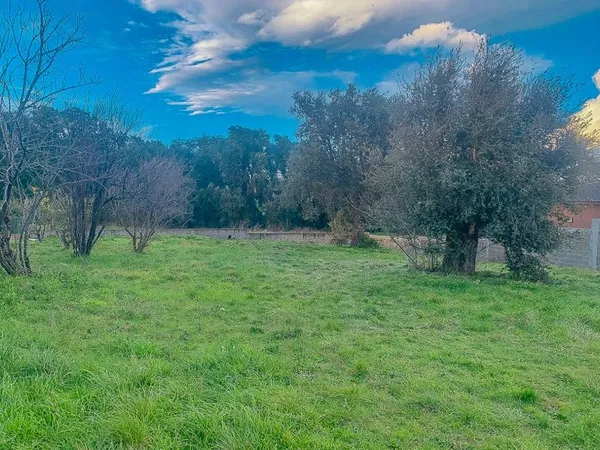 Terrain 1000 m²