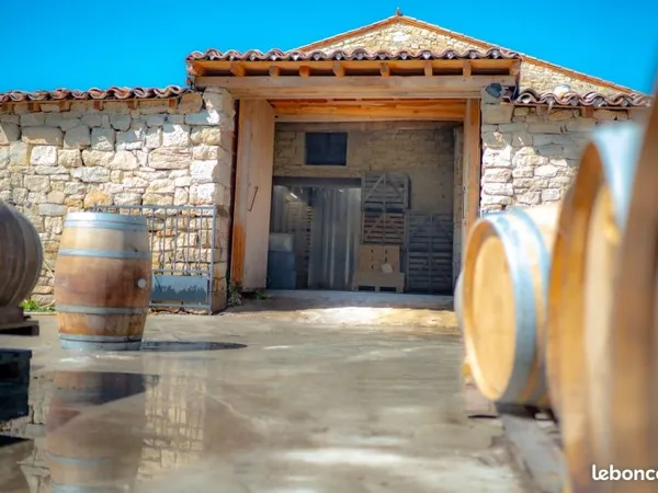 Domaine viticole Aude
