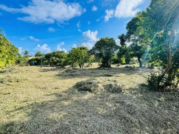Terrain en individuel 1215 m²