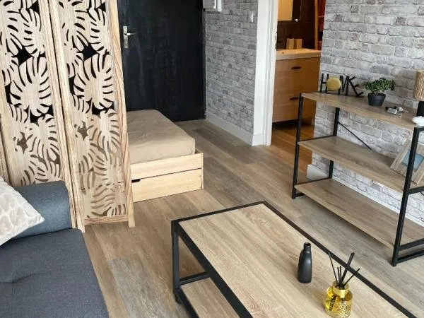 STUDIO 26 M² SECTEUR HOPITAL TERRASSE PARKING SECURISE