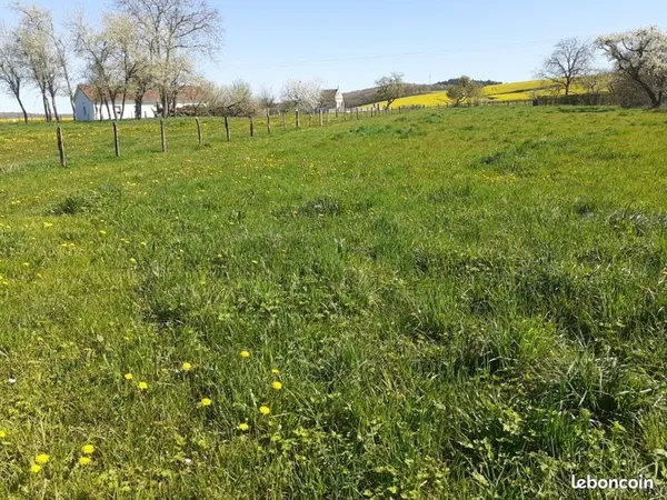 Bien agricole et foncier Vente Blécourt  2642m² 11000€