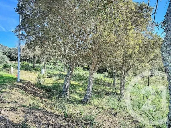 Terrain 764 m²