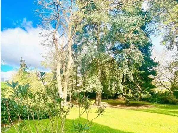Terrain 923 m²