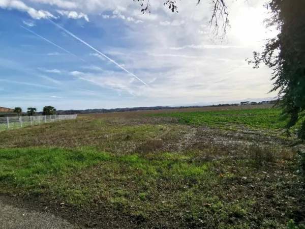 Terrain 1446 m²